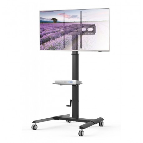 Podstawa mobilna TECHly ICA-TR228 do monitorów 32-70 cali (do 40kg)